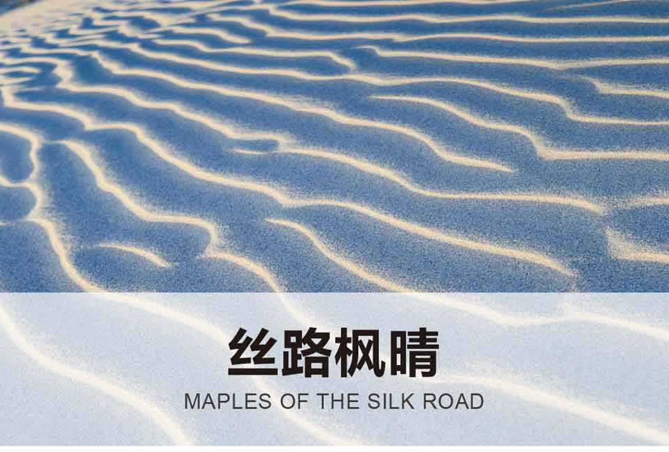 丝路枫晴