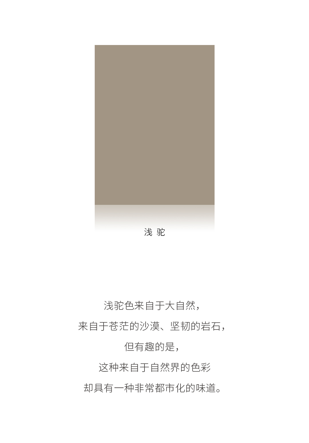447_01.jpg